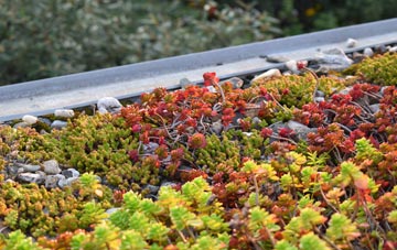 the cost of Brandhill green roof installation