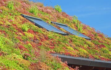 Brandhill living roof systems
